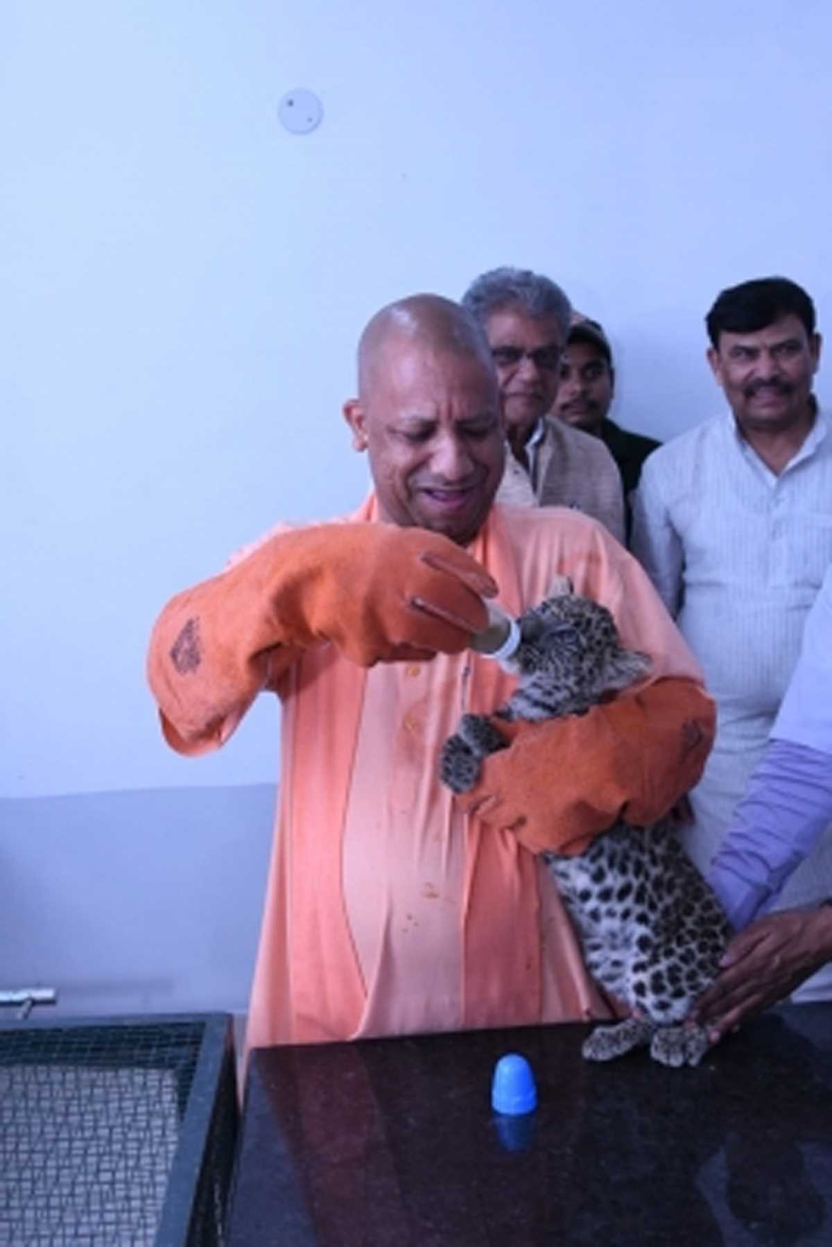 तेंदुए के दो मादा शावकों को दूध पिलाकर मुख्यमंत्री ने किया नामकरण